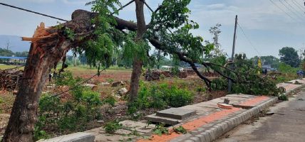 आज प्रतिघण्टा ६० किमिसम्मको हुरी चल्ने सम्भावना, रुख ढल्ने, छाना उड्ने खतरा