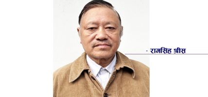 पार्टीमा देखिएका सङ्गठन सम्बन्धी समस्या र चुनौतीहरु