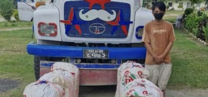 १९९ किलो प्रतिबन्धित गाँजासहित टिपर चालक पक्राउ १९९ किलो प्रतिबन्धित गाँजासहित टिपर चालक पक्राउ